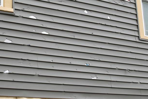 Best Steel Siding Installation  in Branson, MO