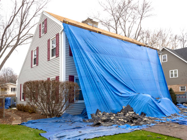 Best Fiber Cement Siding Installation  in Branson, MO