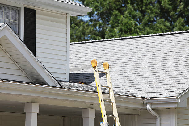 Best Fascia and Soffit Installation  in Branson, MO